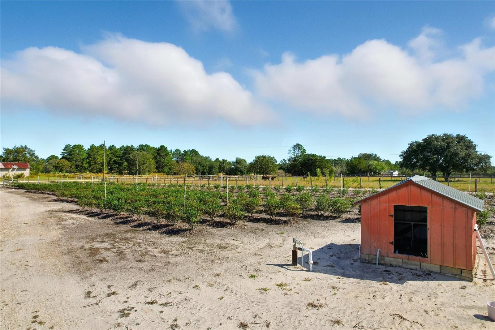 Image 40 of 46 For 12150 97 Place