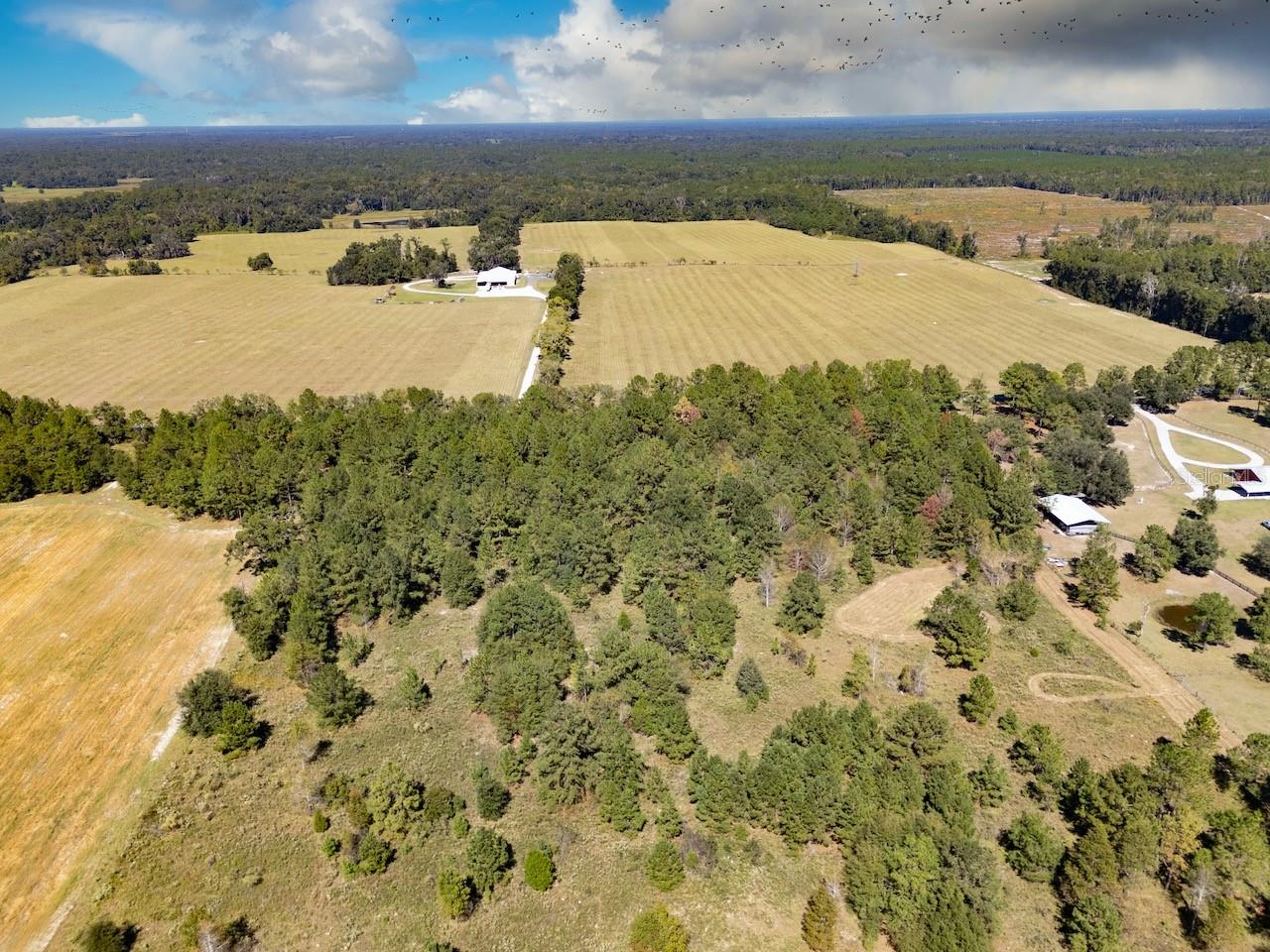 Image 10 of 11 For 000 75 Street