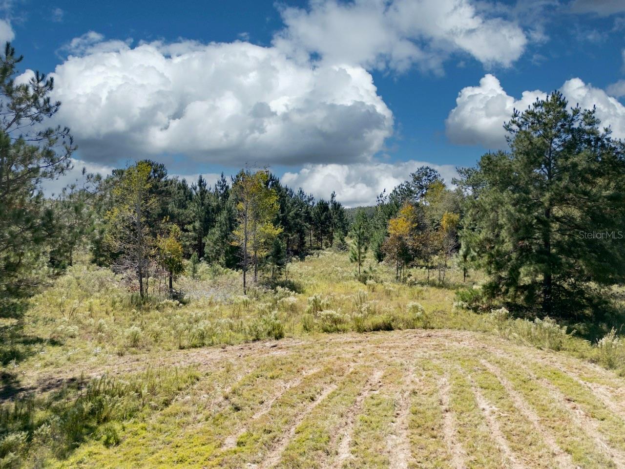 Image 2 of 11 For 000 75 Street