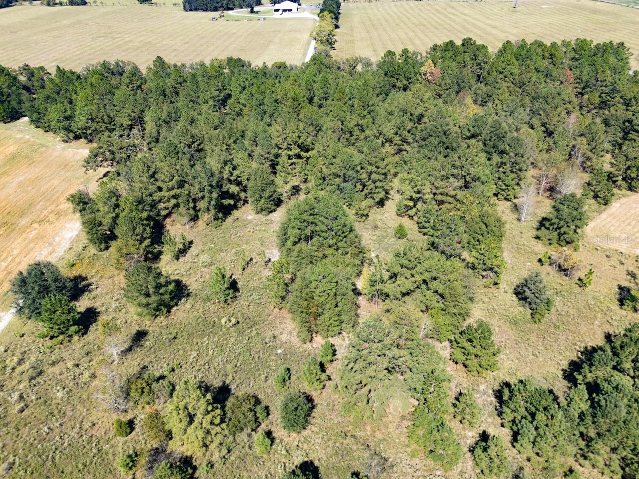 Image 4 of 11 For 000 75 Street