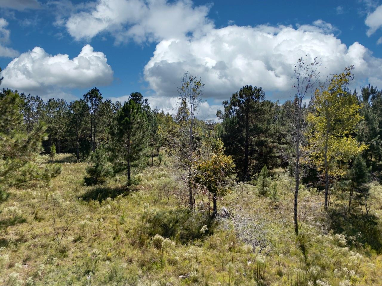 Image 5 of 11 For 000 75 Street