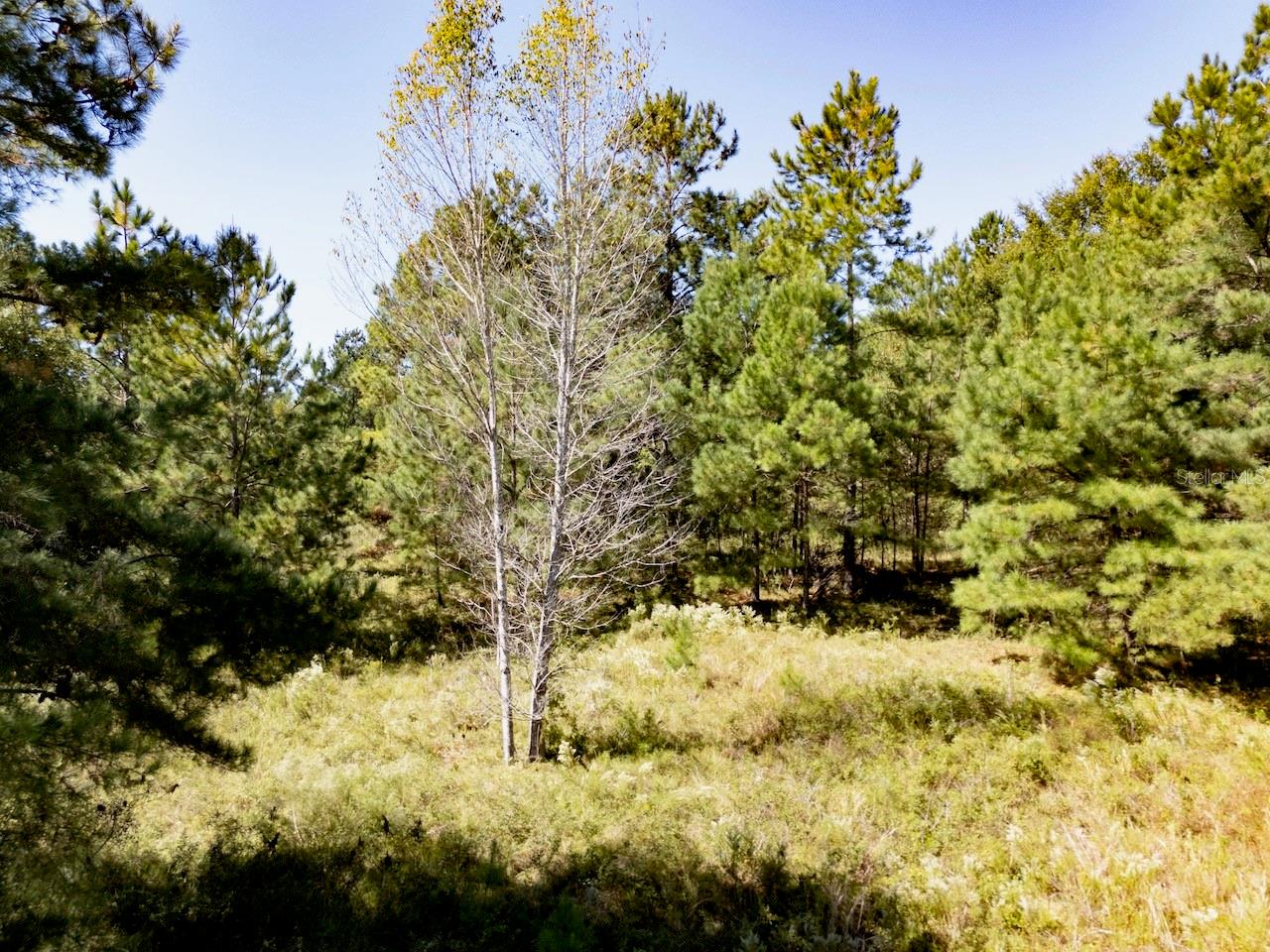 Image 6 of 11 For 000 75 Street