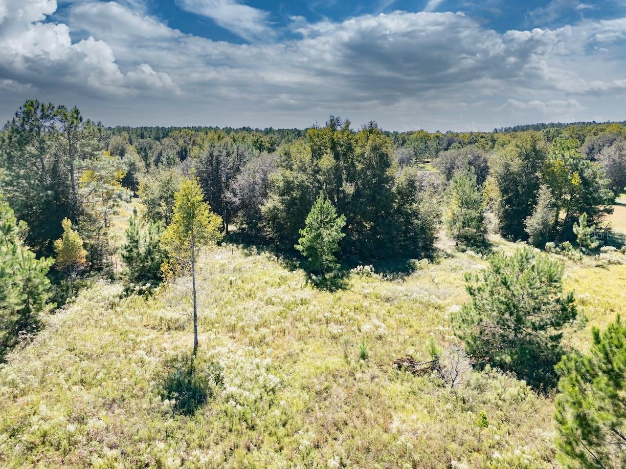 Image 8 of 11 For 000 75 Street