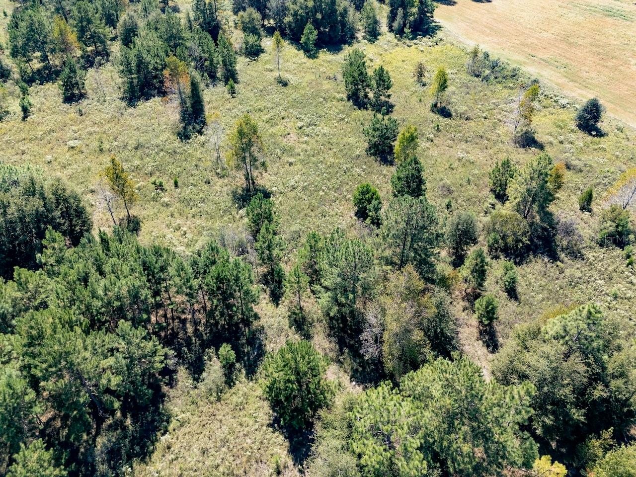 Image 9 of 11 For 000 75 Street