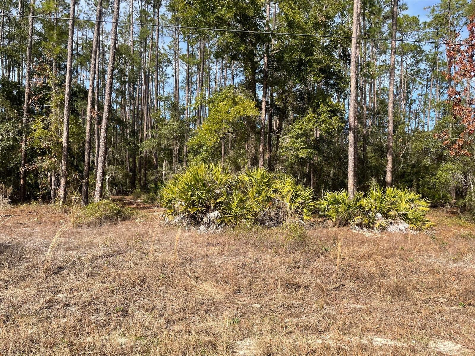 Details for Lot 23 Tiger Lake Boulevard W, DUNNELLON, FL 34431