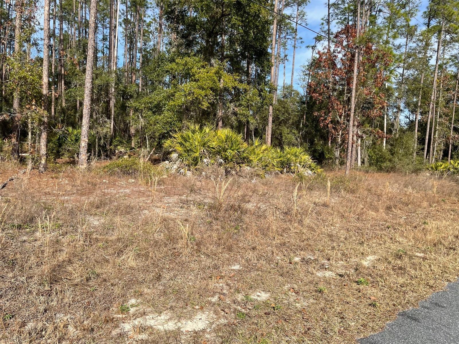 Image 2 of 10 For Lot 23 Tiger Lake Boulevard W