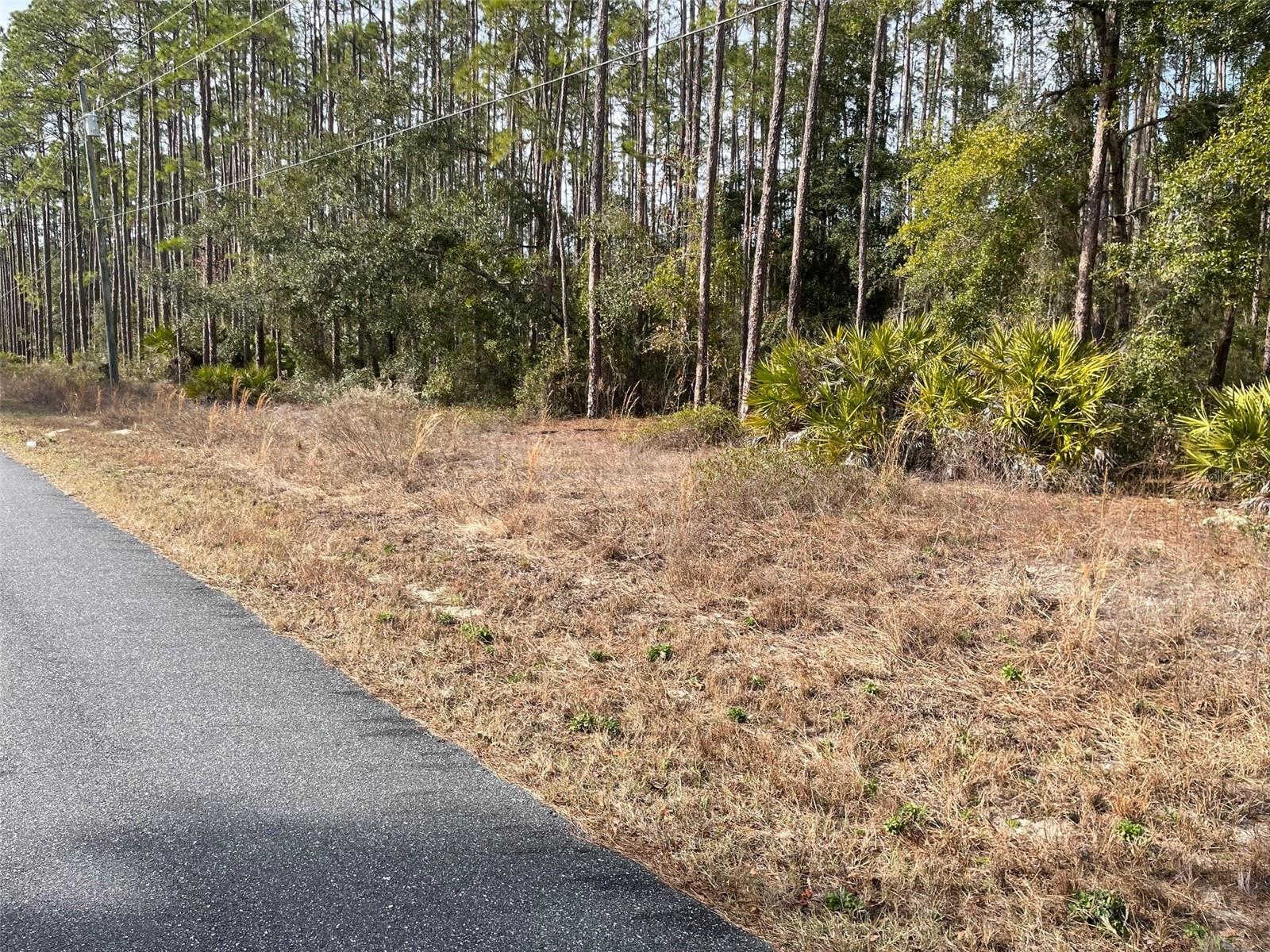 Image 3 of 10 For Lot 23 Tiger Lake Boulevard W