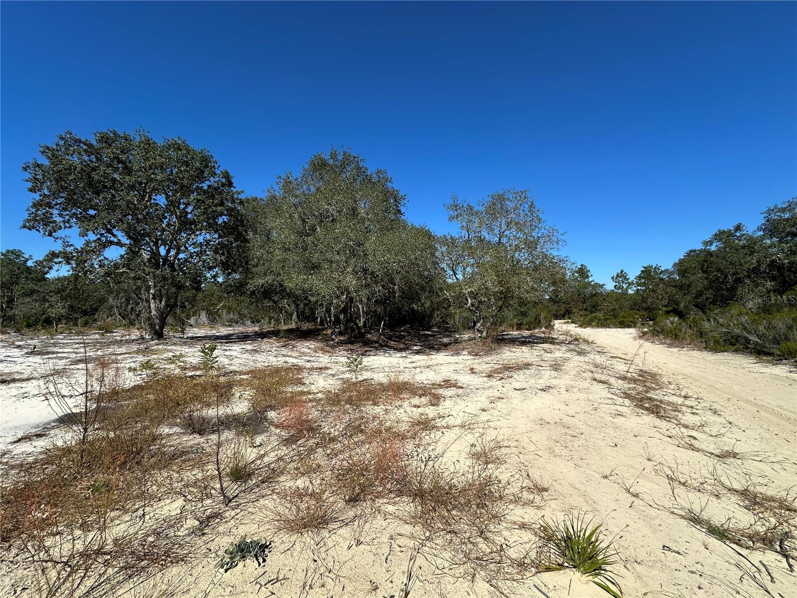 Image 3 of 9 For Tbd 100th Avenue