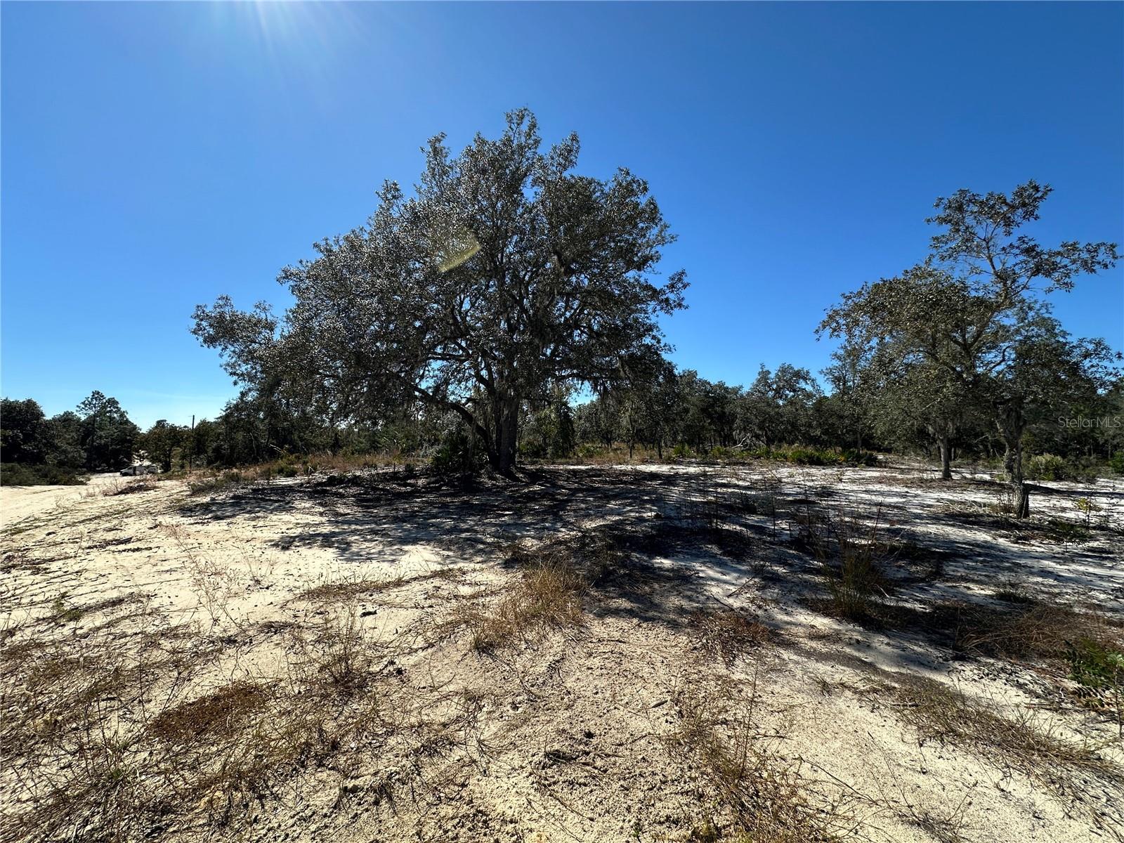 Image 4 of 9 For Tbd 100th Avenue