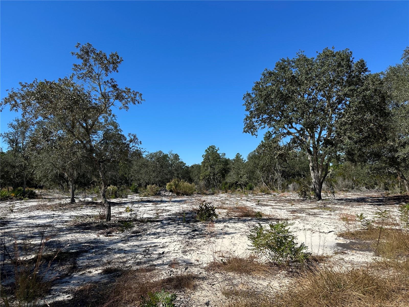 Image 5 of 9 For Tbd 100th Avenue