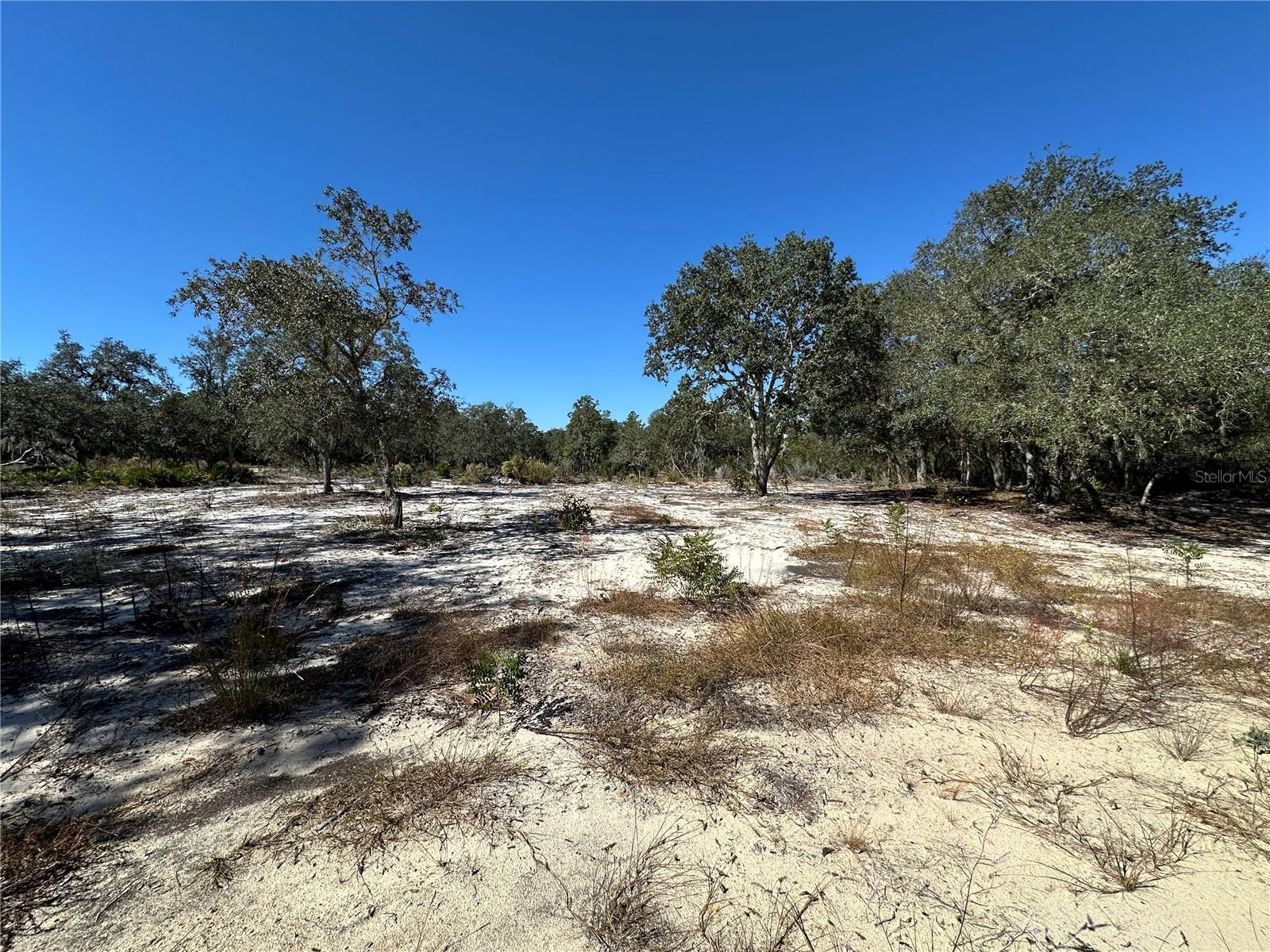 Image 6 of 9 For Tbd 100th Avenue