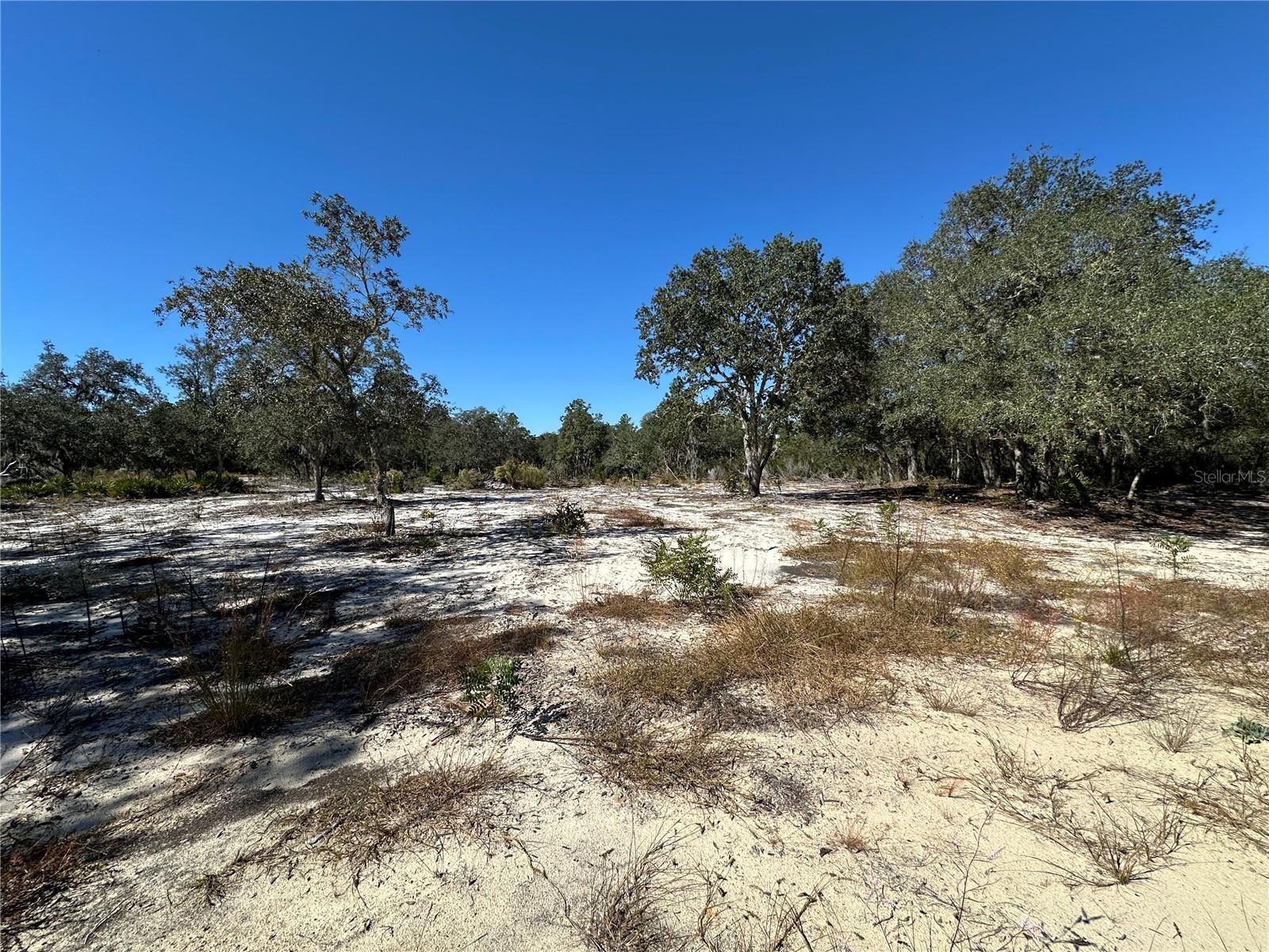 Image 7 of 9 For Tbd 100th Avenue