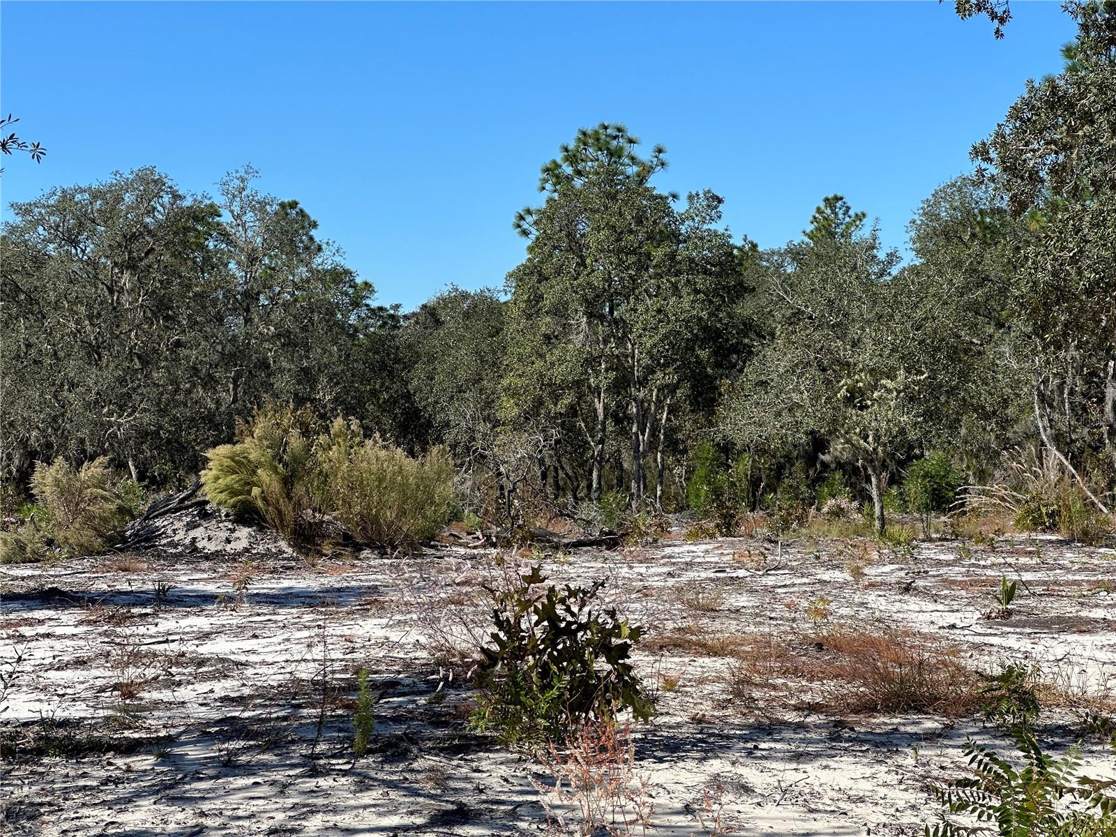 Image 8 of 9 For Tbd 100th Avenue