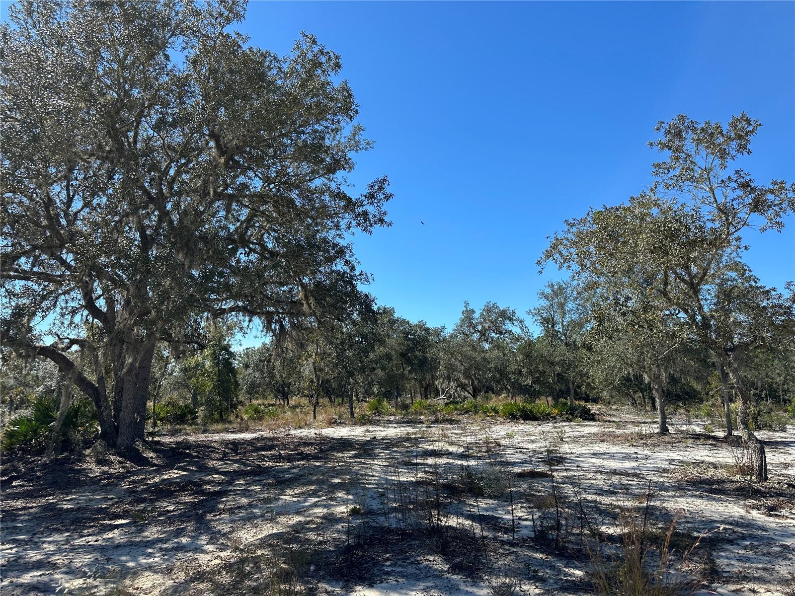 Image 9 of 9 For Tbd 100th Avenue