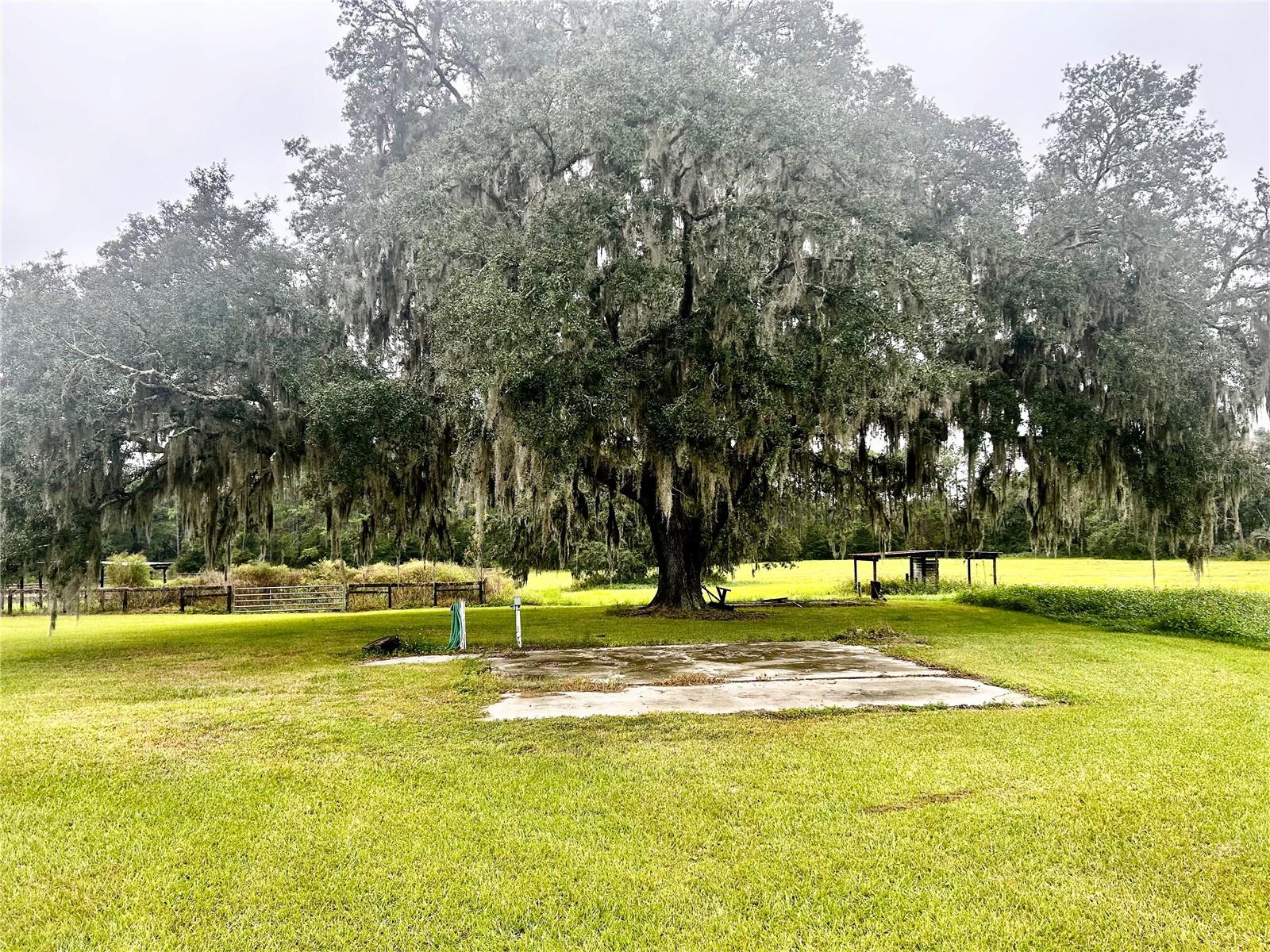 Image 42 of 54 For 9422 125th Avenue