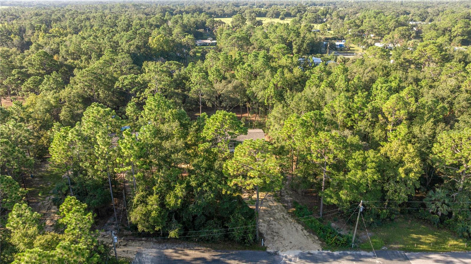 Image 28 of 30 For 9790 Pinespring Court