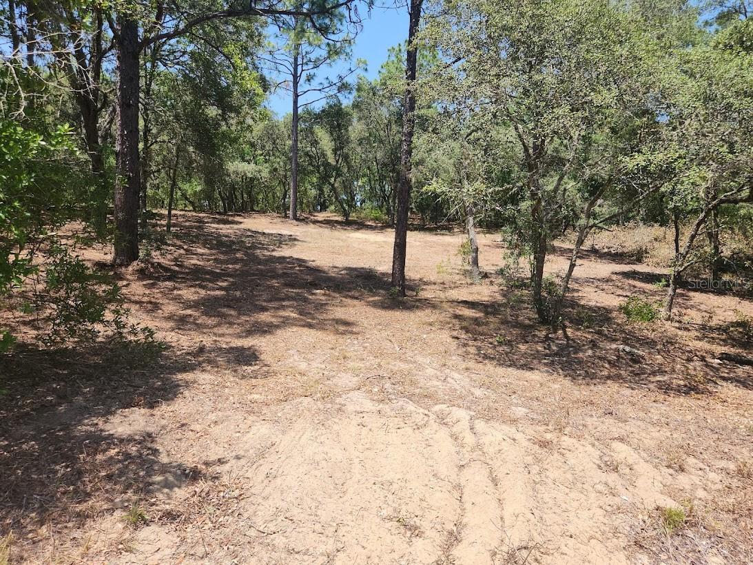 Details for Lot 18 Pine Bluffs Road, DUNNELLON, FL 34432