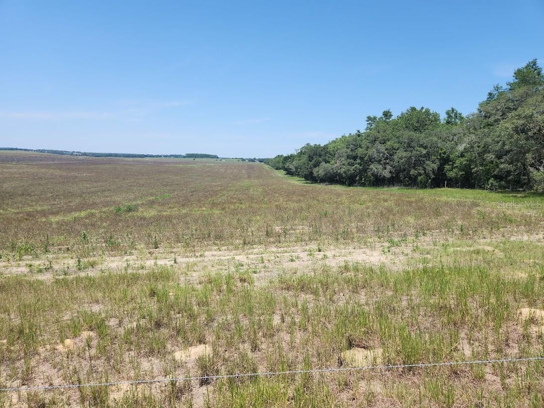 Image 5 of 23 For Lot 18 Pine Bluffs Road