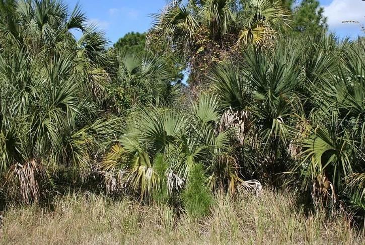 Listing Details for 281 Farmington Street Sw, PALM BAY, FL 32908