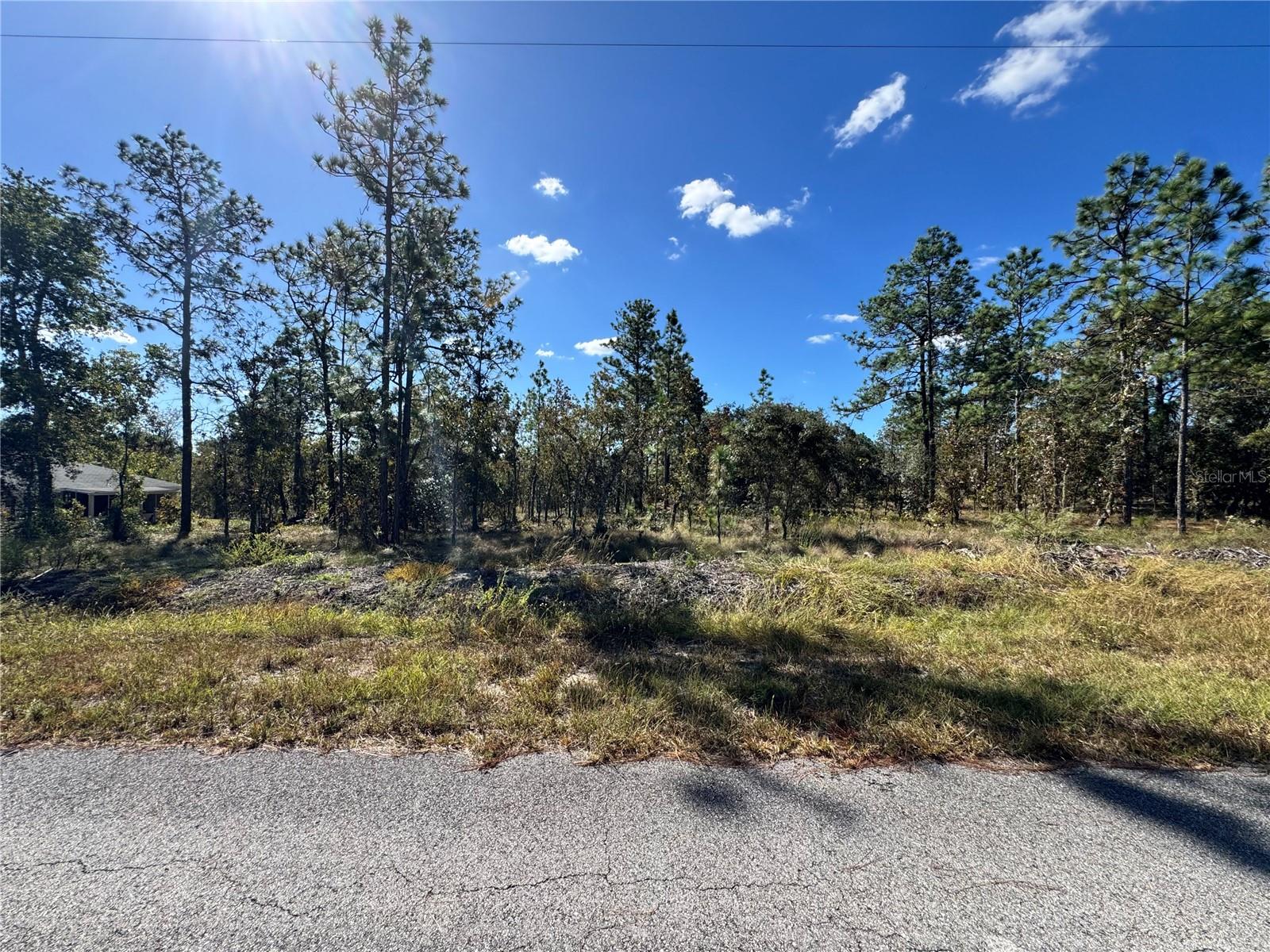 Details for Tbd Luna Avenue, DUNNELLON, FL 34431