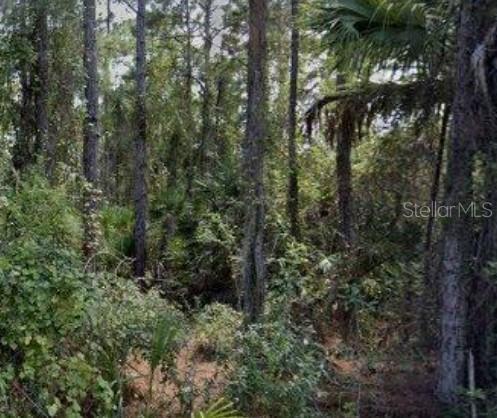 Listing Details for 188 Tudor Road Sw, PALM BAY, FL 32908