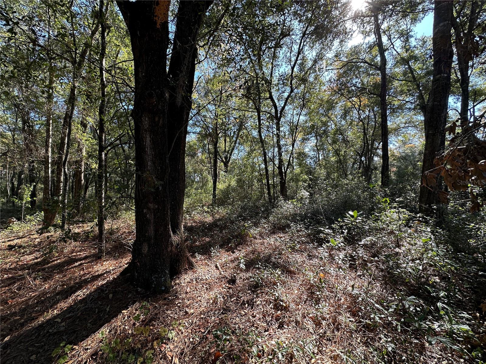 Image 3 of 6 For Tbd 152nd Terrace