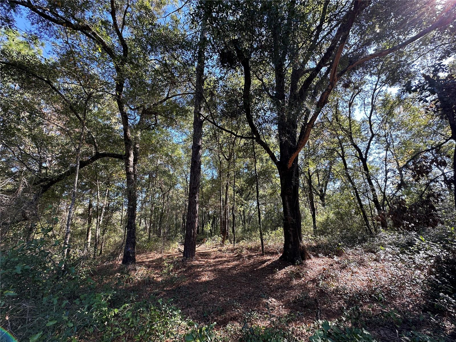 Image 4 of 6 For Tbd 152nd Terrace