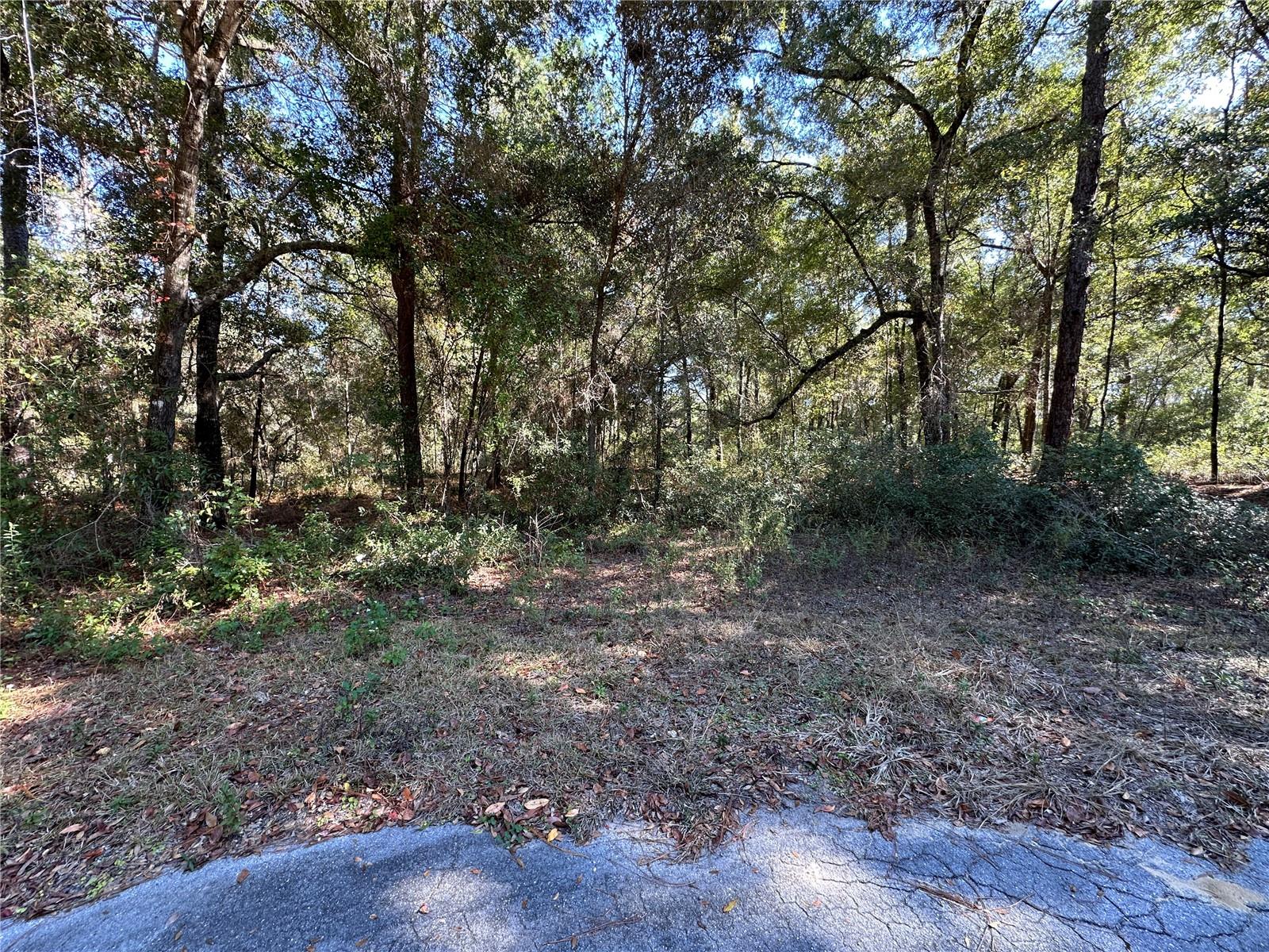 Image 5 of 6 For Tbd 152nd Terrace