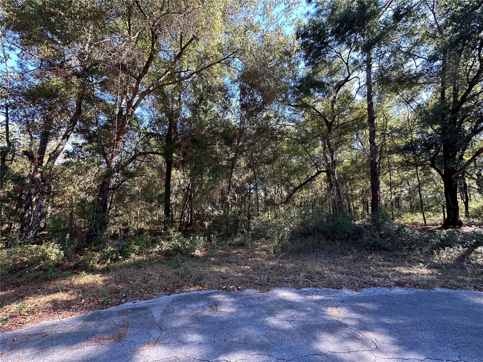 Image 6 of 6 For Tbd 152nd Terrace