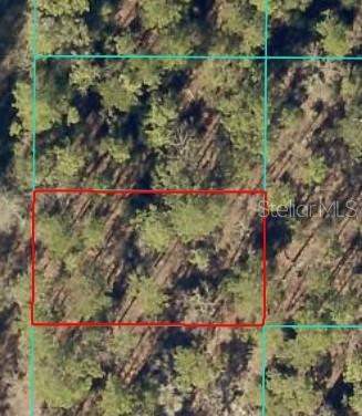 Details for 00 156 Avenue, OCALA, FL 34481