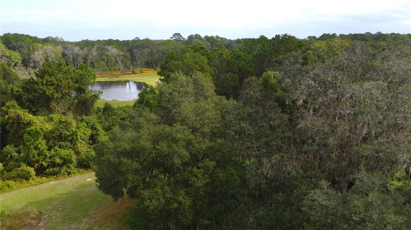 Details for 11701 Highway 464, OCKLAWAHA, FL 32179