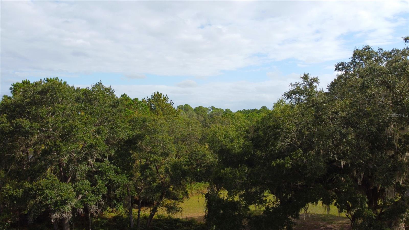 Image 11 of 25 For 11701 Highway 464