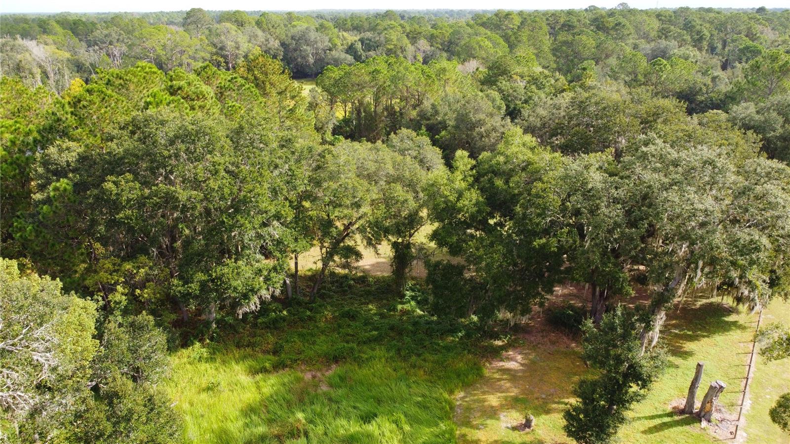 Image 13 of 25 For 11701 Highway 464