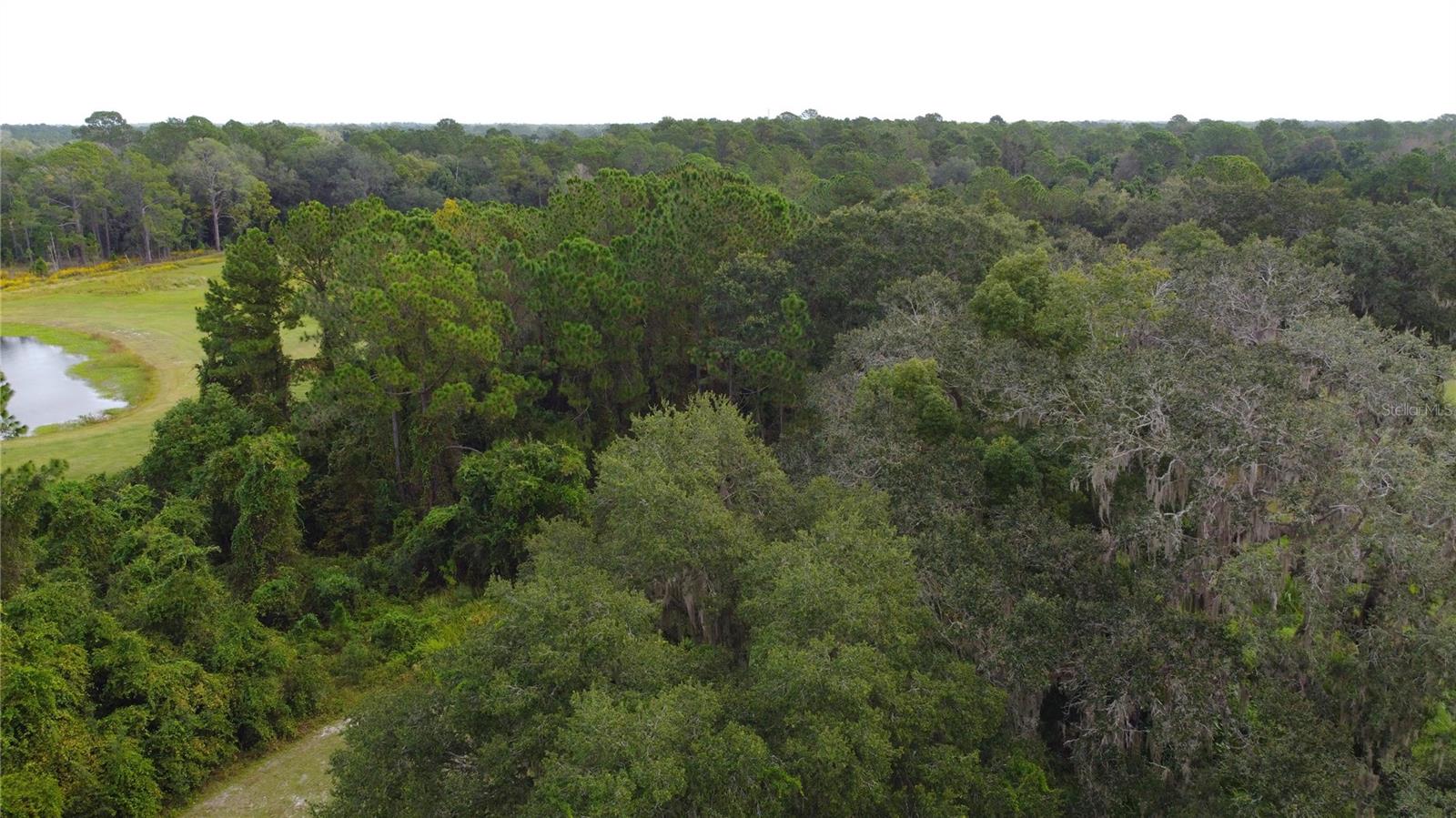 Image 23 of 25 For 11701 Highway 464