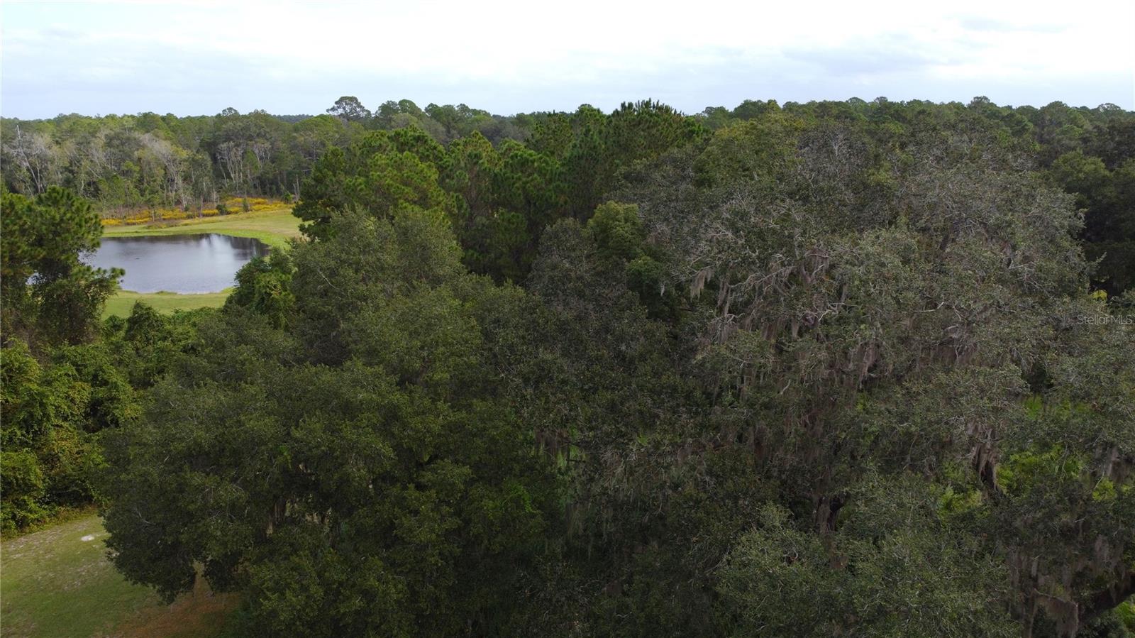 Image 24 of 25 For 11701 Highway 464