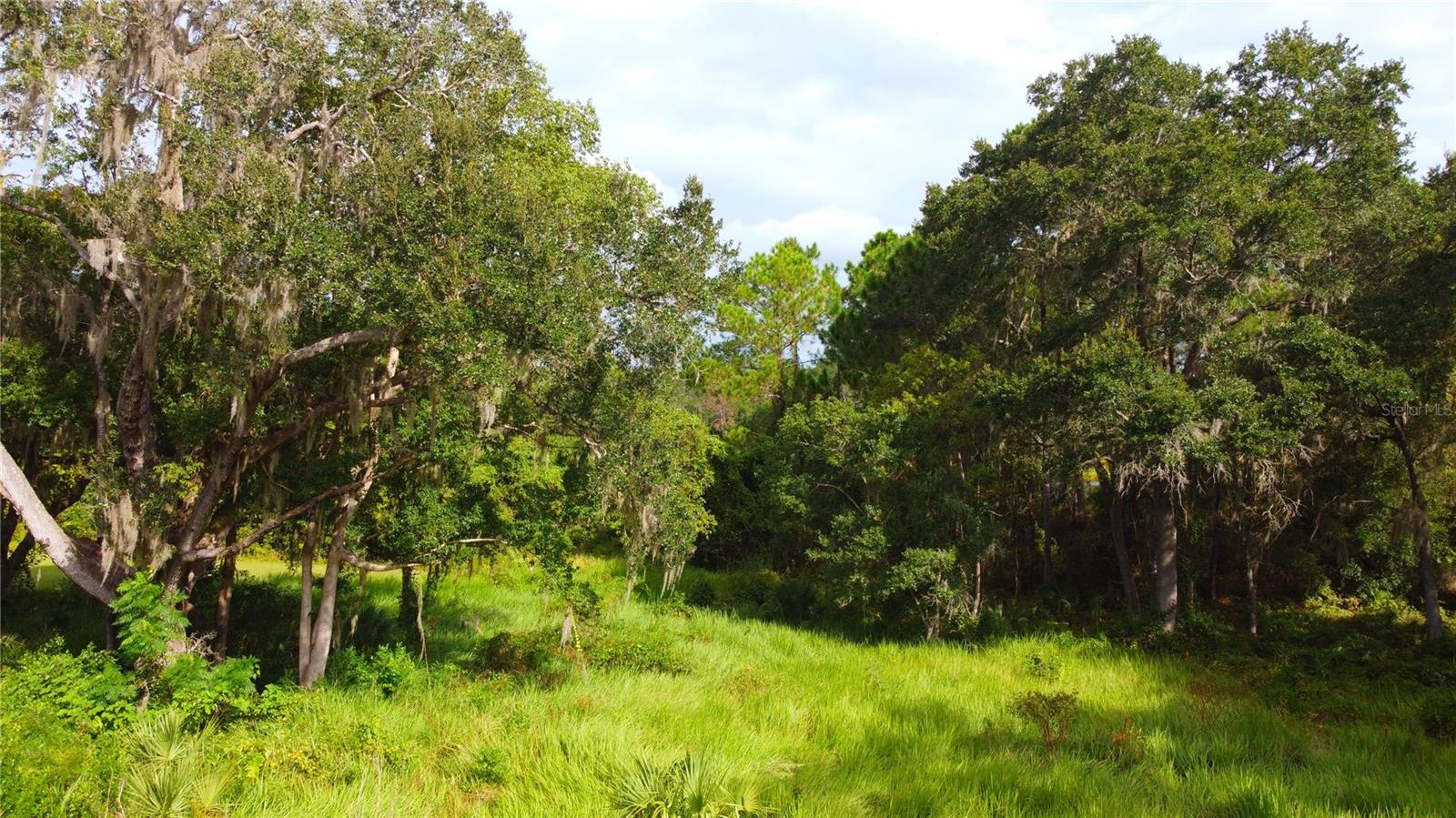 Image 8 of 25 For 11701 Highway 464