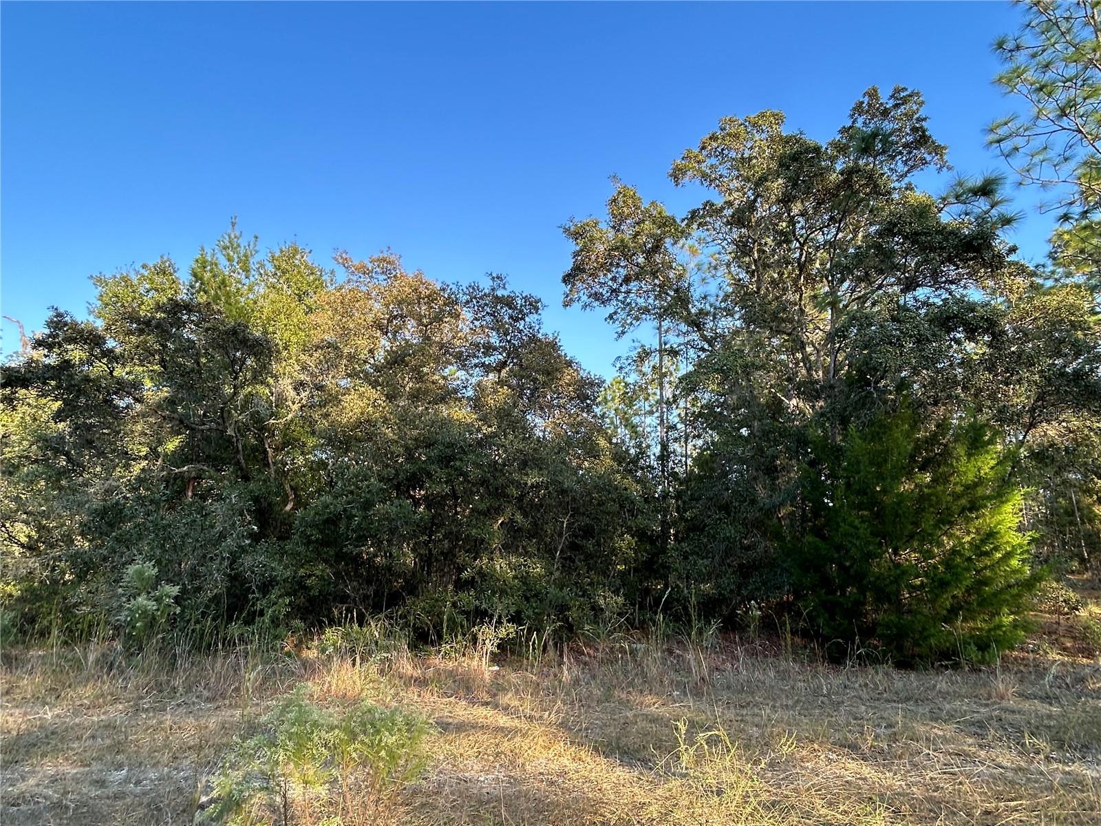 Image 4 of 5 For Tbd 148 Terrace