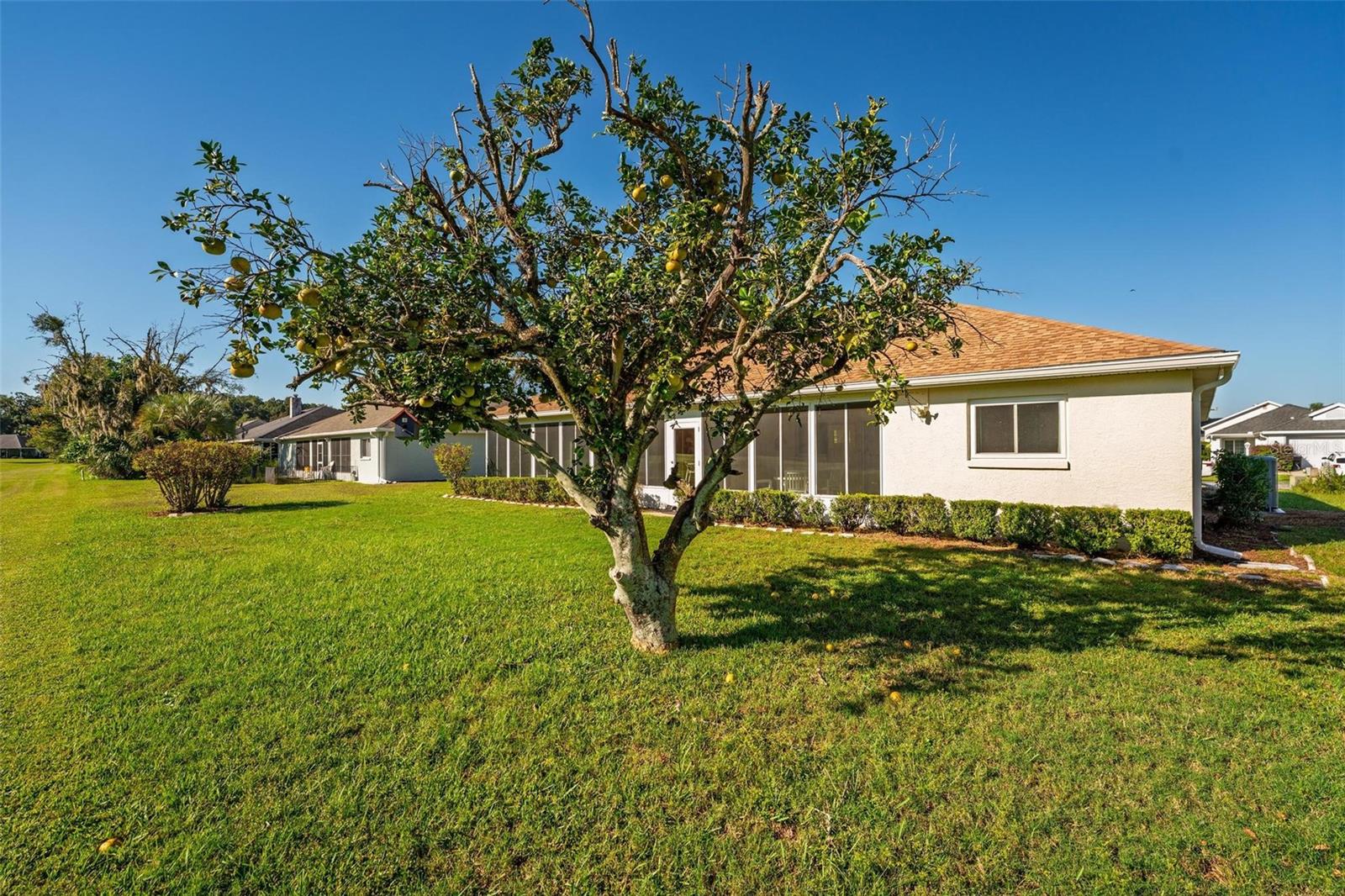 Image 65 of 71 For 2031 50th Avenue