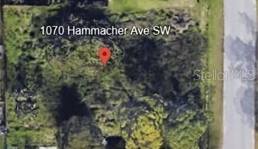 Listing Details for 1070 Hammacher Avenue Sw, PALM BAY, FL 32908