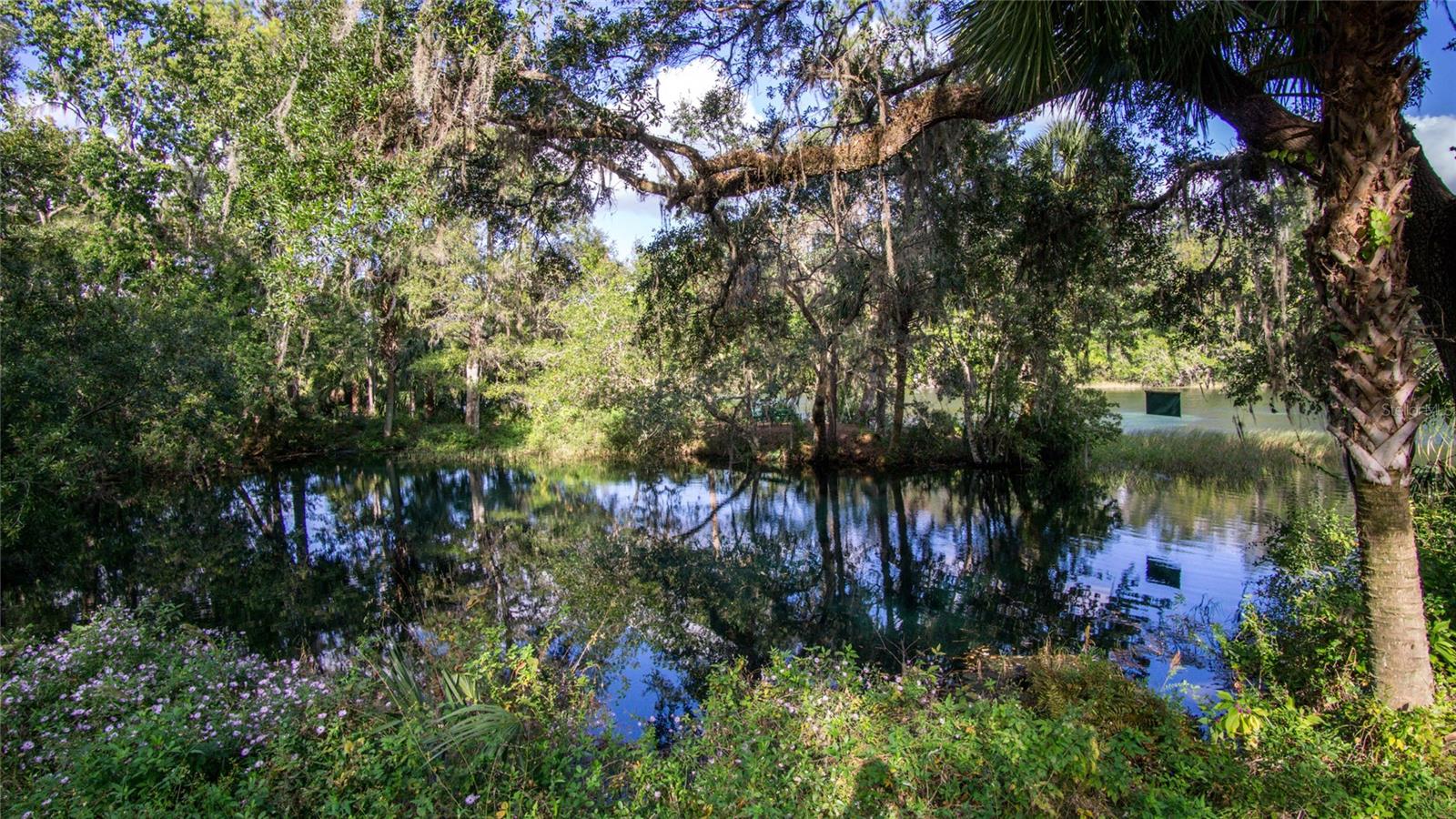 Image 59 of 73 For 8130 215th Terrace