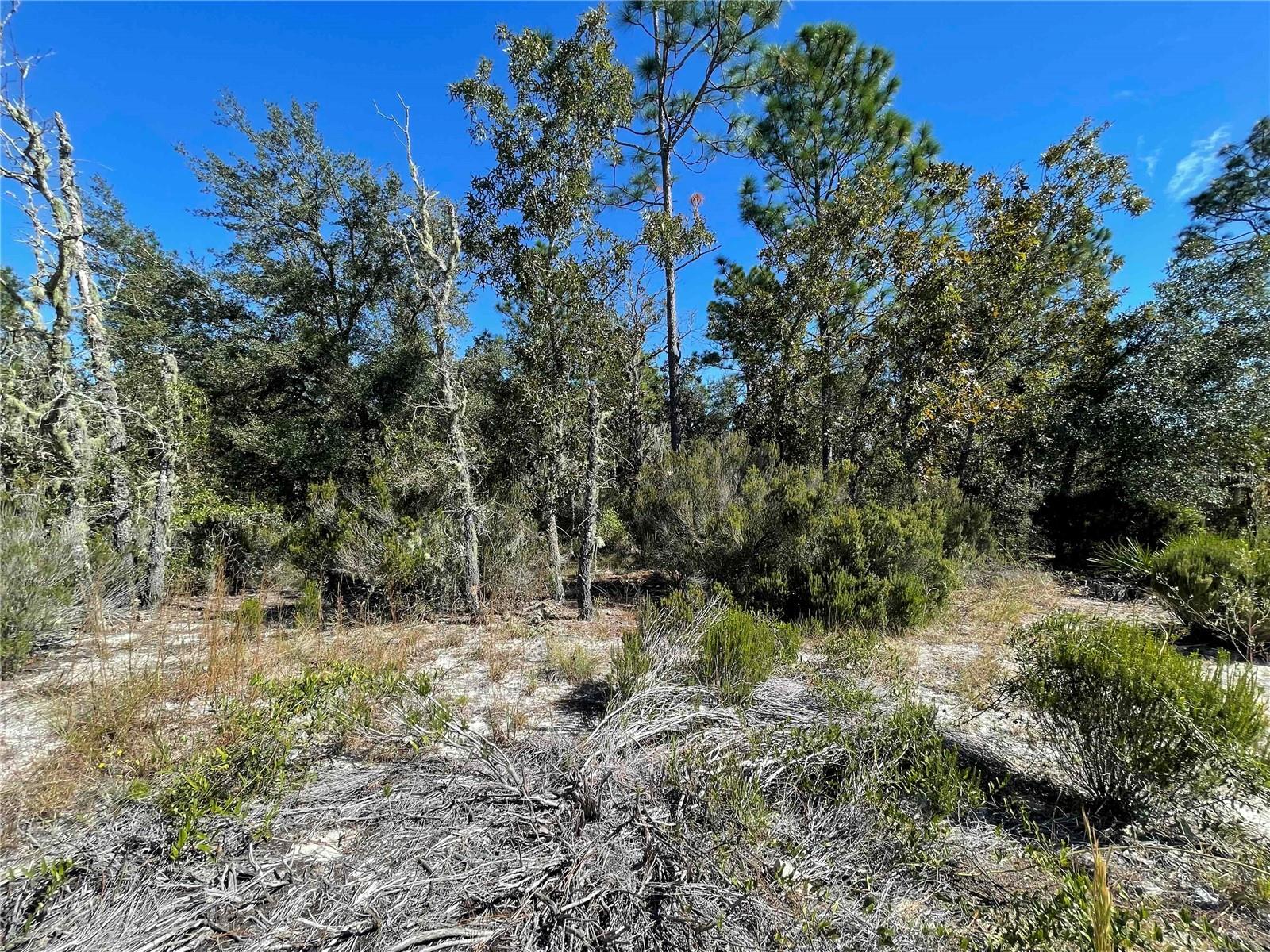 Image 5 of 6 For Tbd Highway 27 Alt