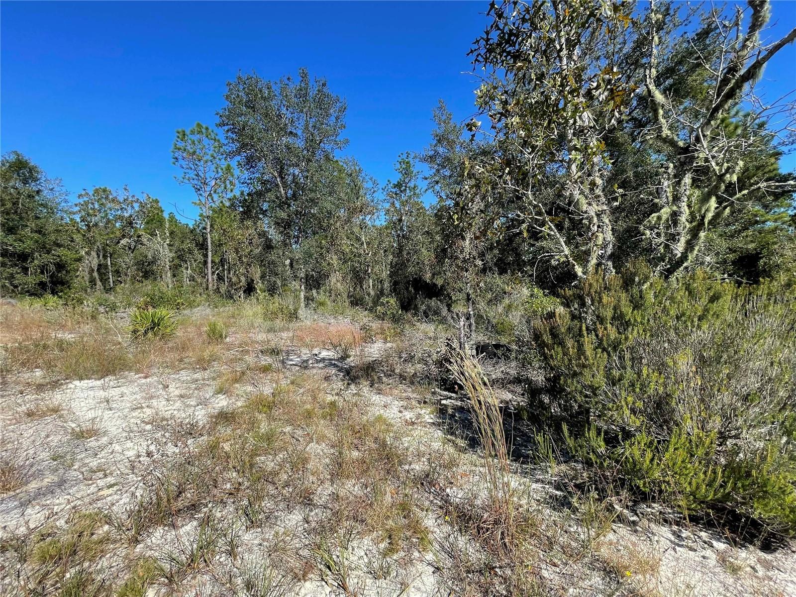 Image 6 of 6 For Tbd Highway 27 Alt