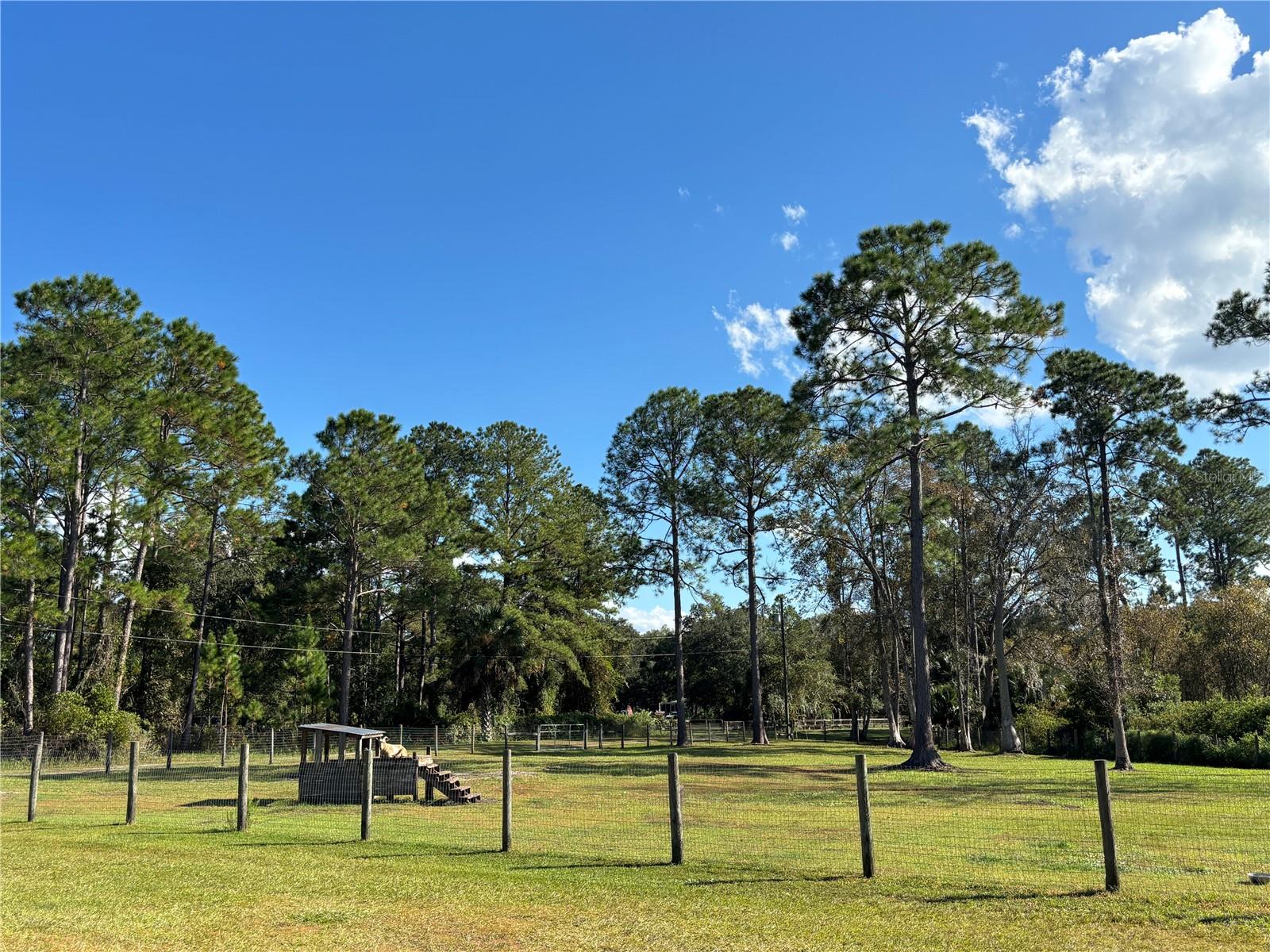 Image 85 of 90 For 8260 175th Court