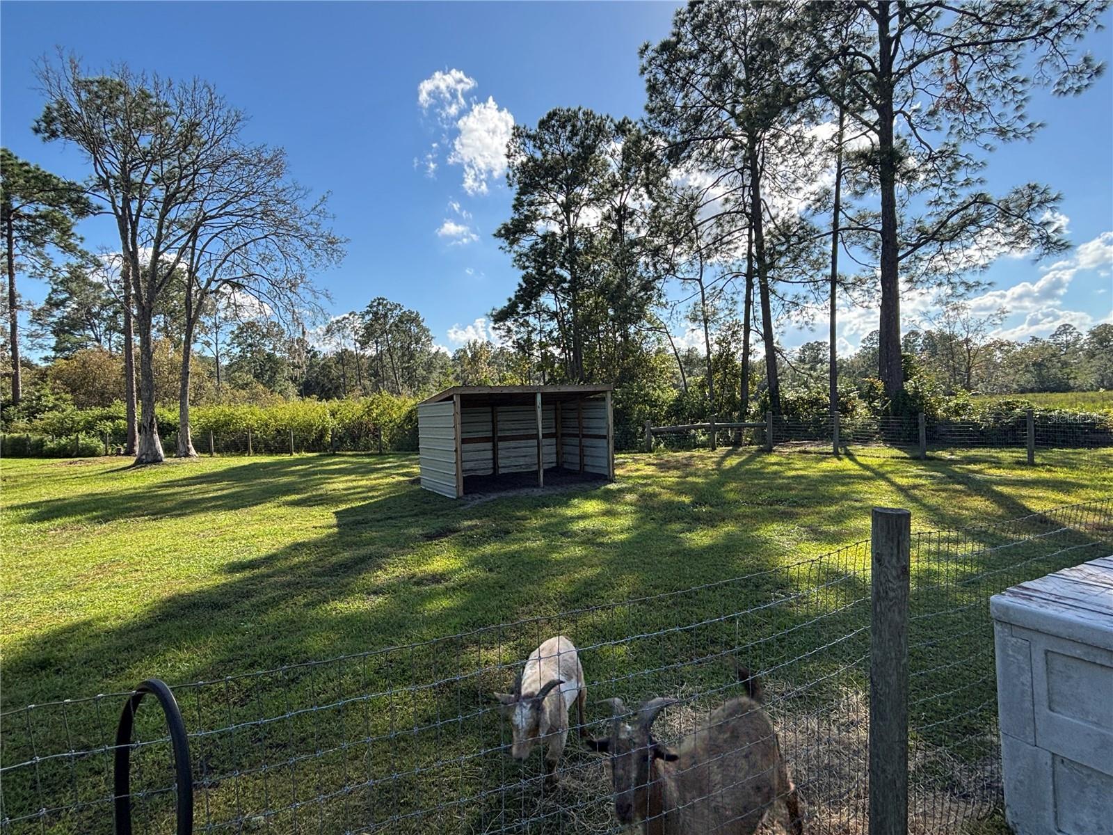 Image 87 of 90 For 8260 175th Court