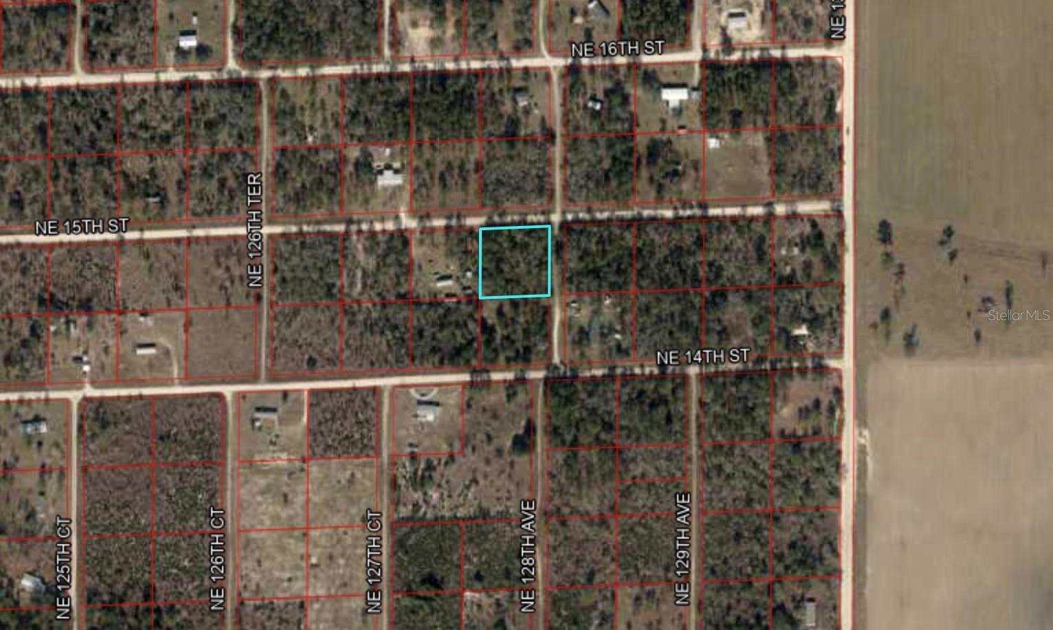 Listing Details for Tbd 15th Street, WILLISTON, FL 32696