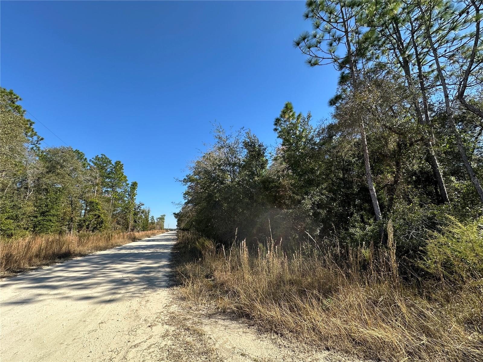 Image 6 of 7 For Tbd 15th Street