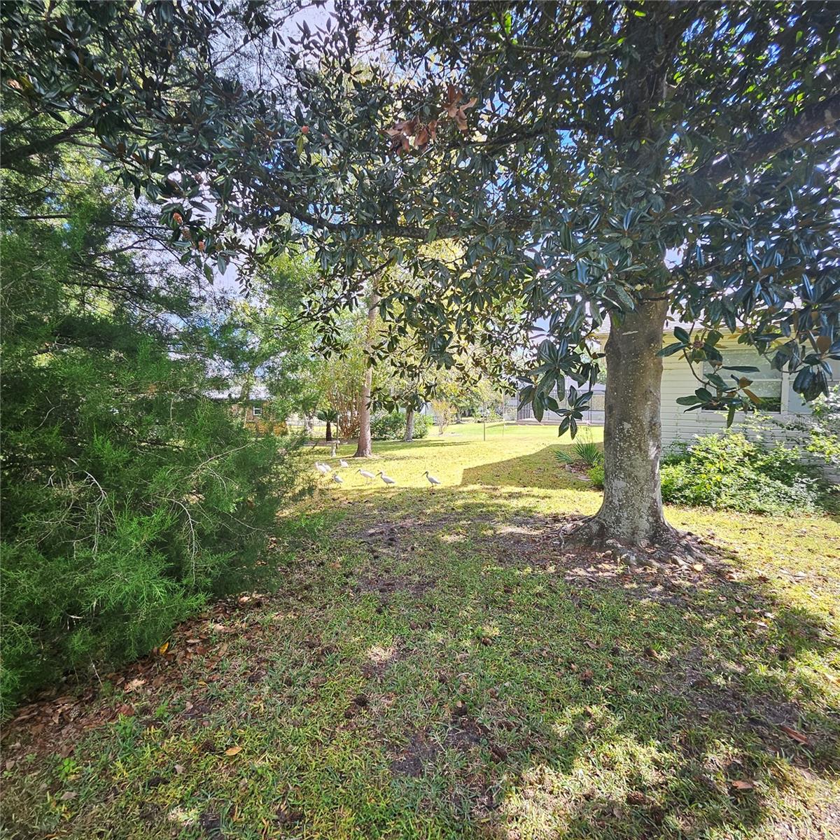 Image 8 of 61 For 879 Beakrush Lane