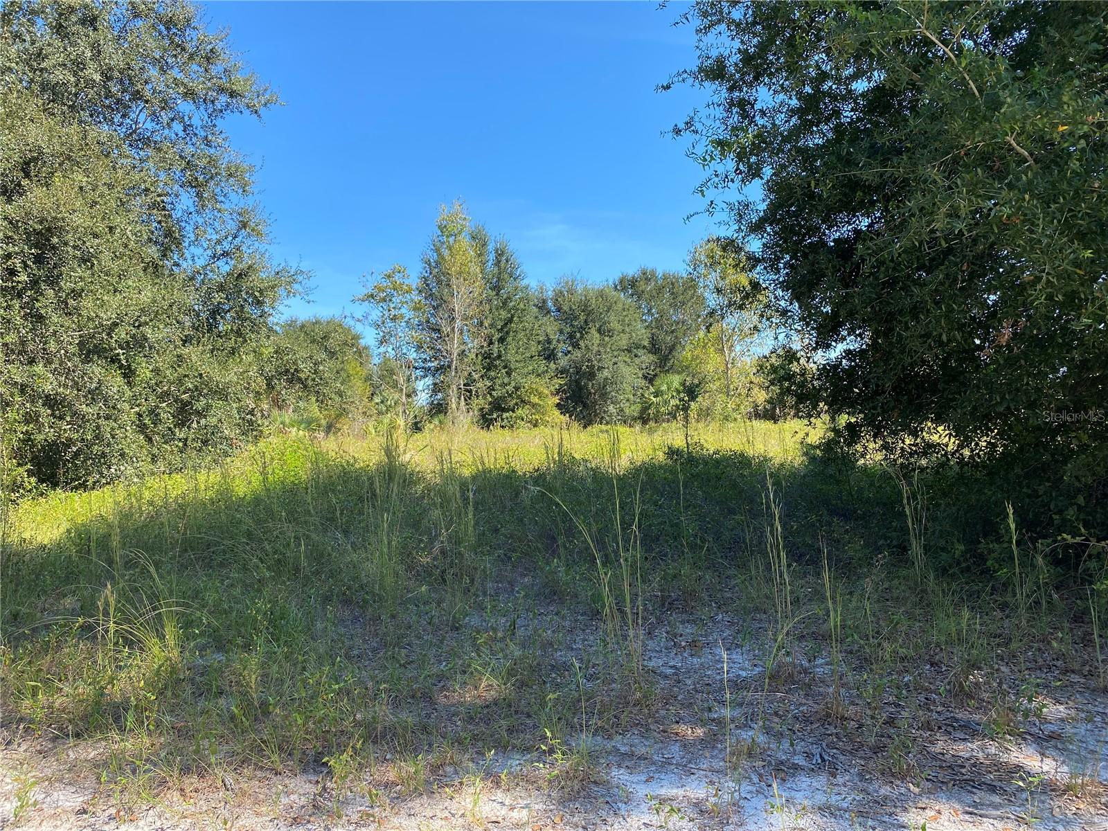 Details for Xxxx 3rd Ct , CITRA, FL 32113