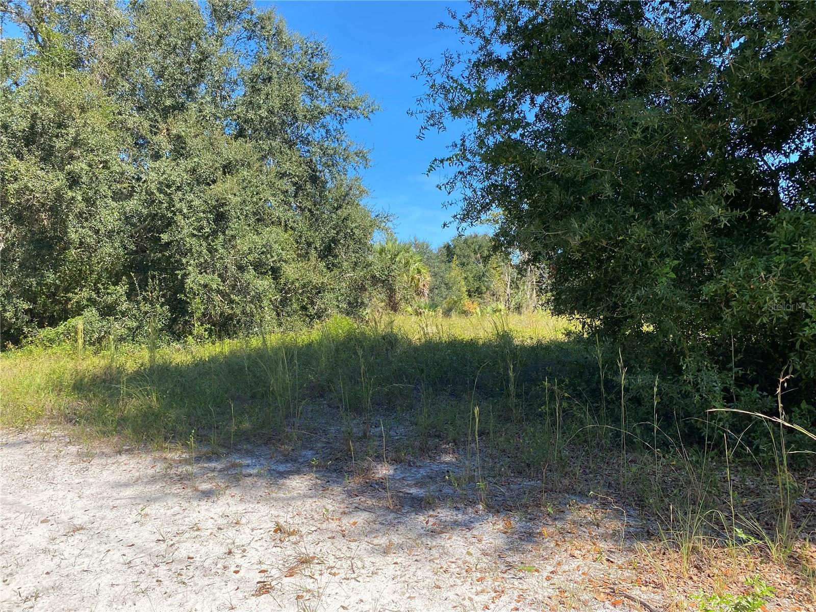 Image 2 of 5 For Xxxx 3rd Ct