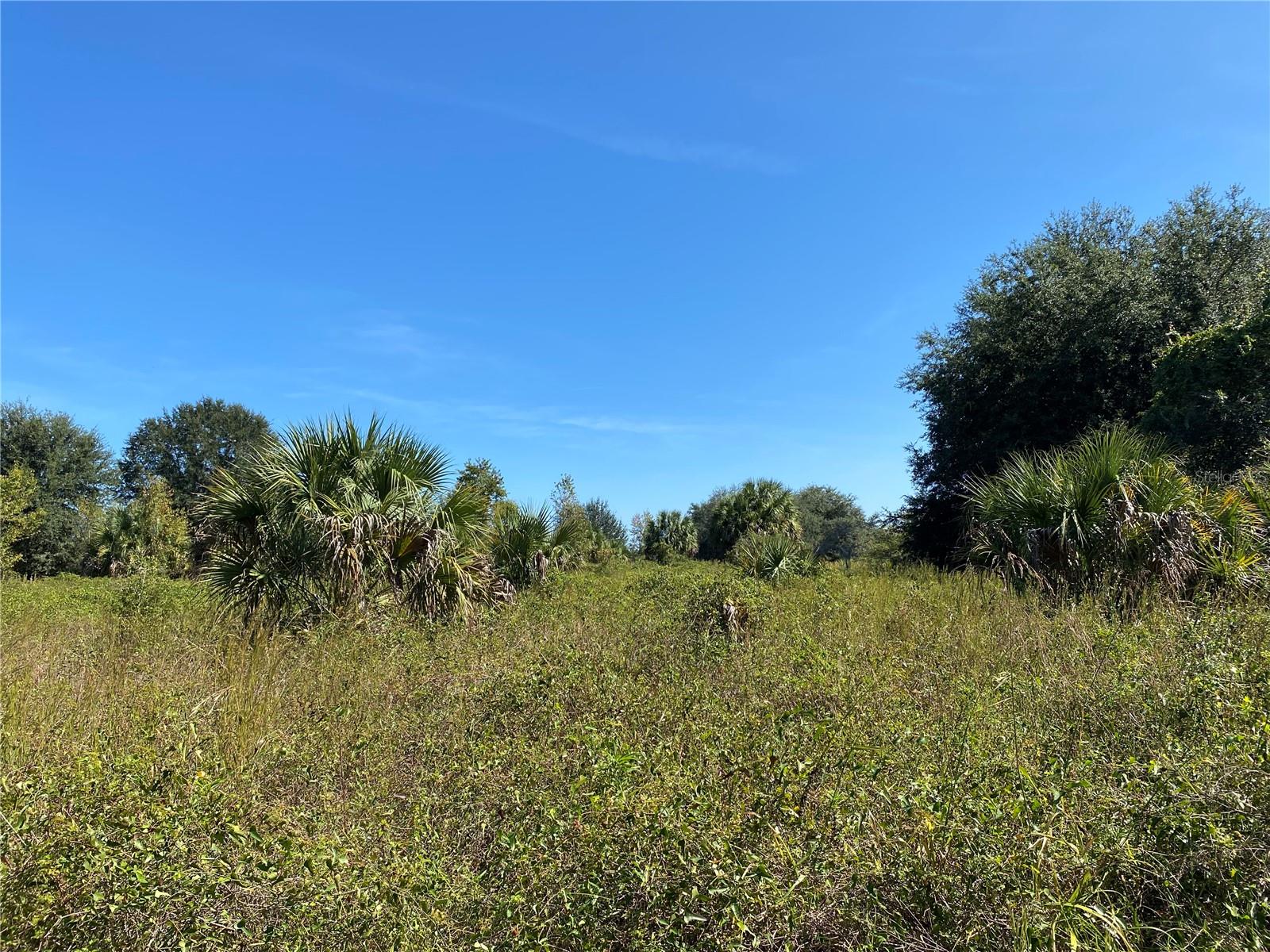 Image 4 of 5 For Xxxx 3rd Ct